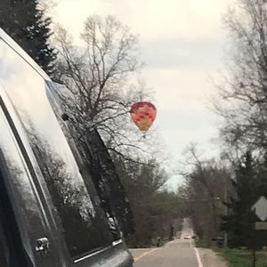 Meet your Posher, Audrey